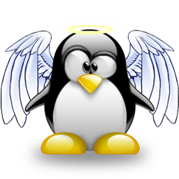 penguin pingouin pinguino 16